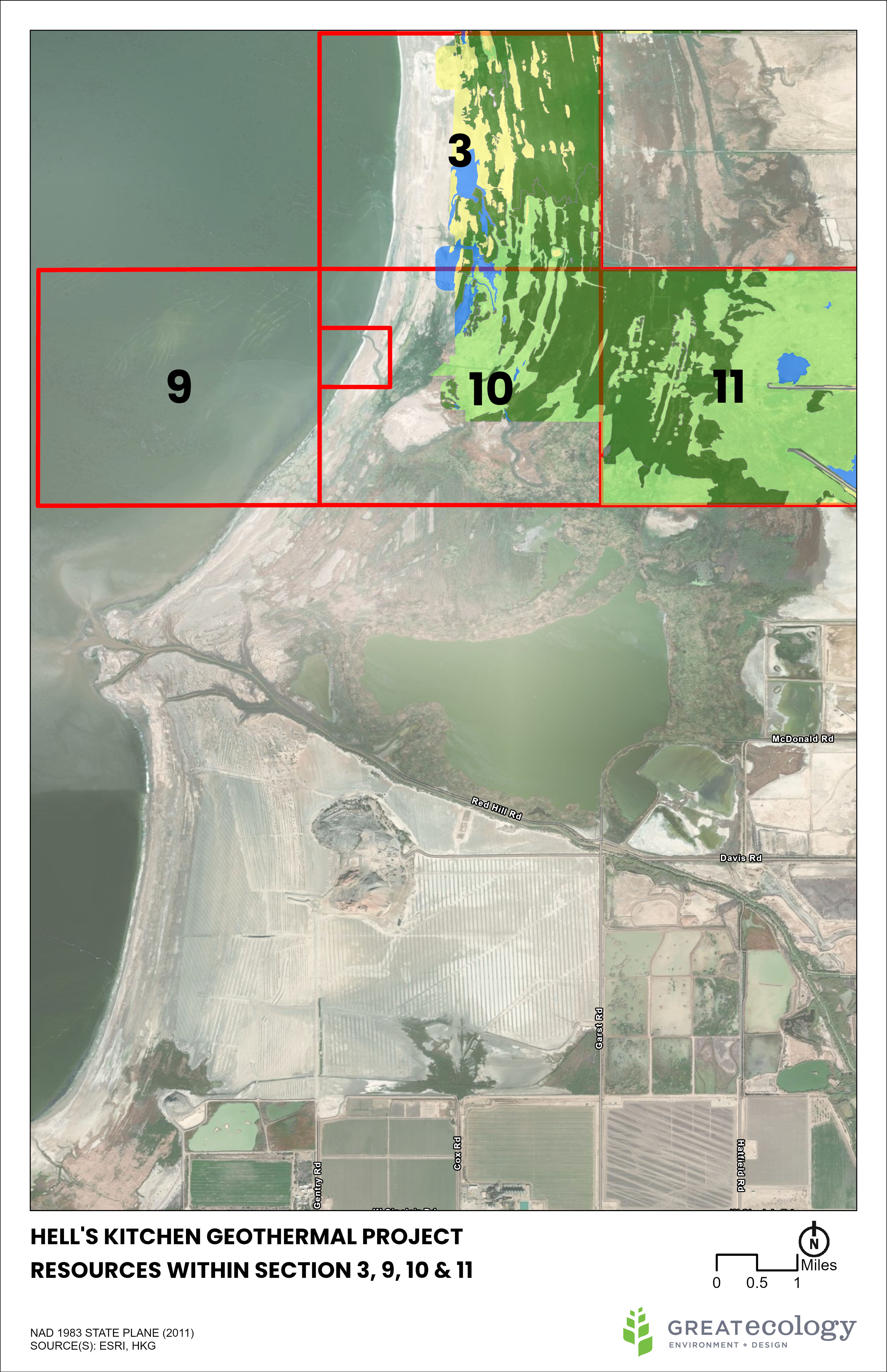 Hell's Kitchen Wetland Mitigation & Master Plan